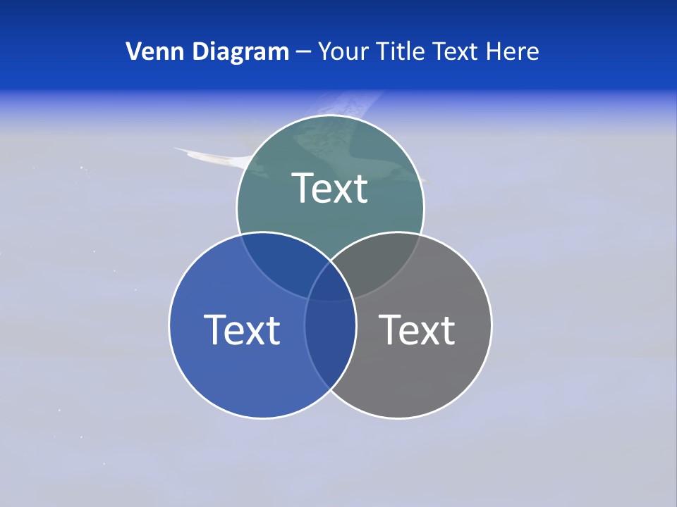 A Seagull Flying Over A Body Of Water PowerPoint Template