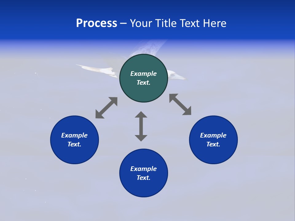 A Seagull Flying Over A Body Of Water PowerPoint Template