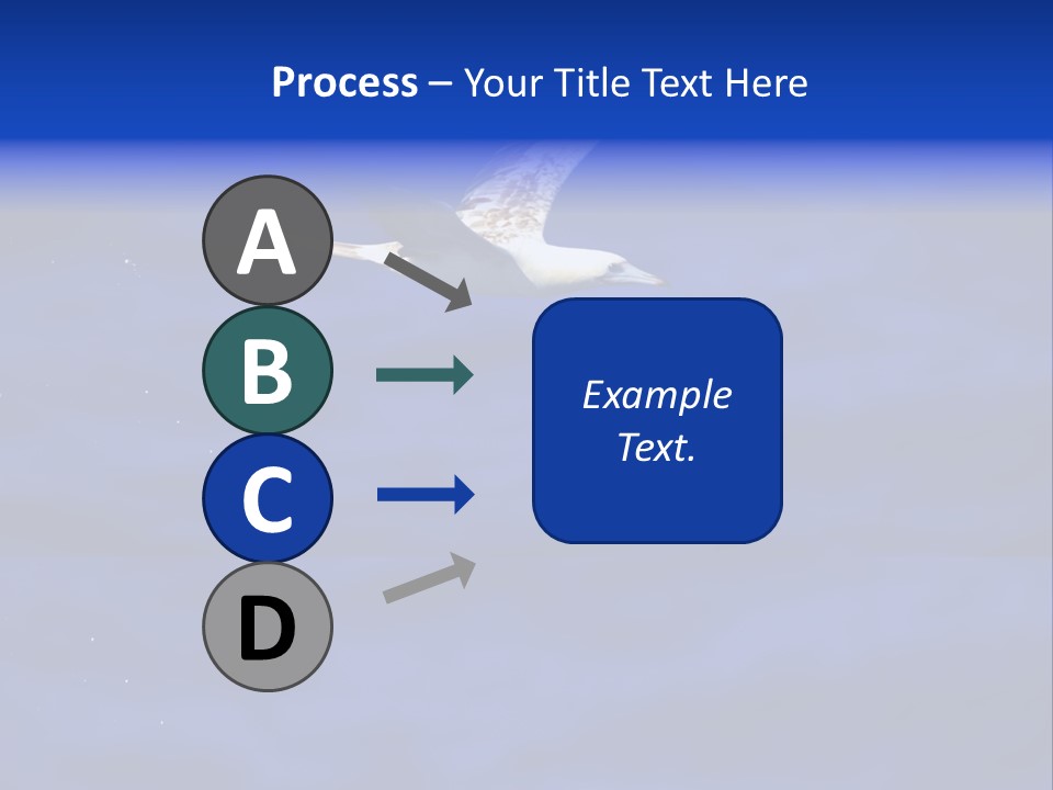 A Seagull Flying Over A Body Of Water PowerPoint Template