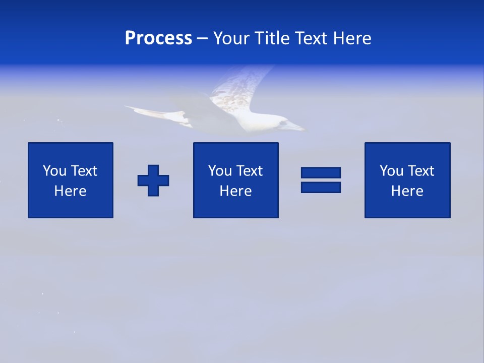 A Seagull Flying Over A Body Of Water PowerPoint Template