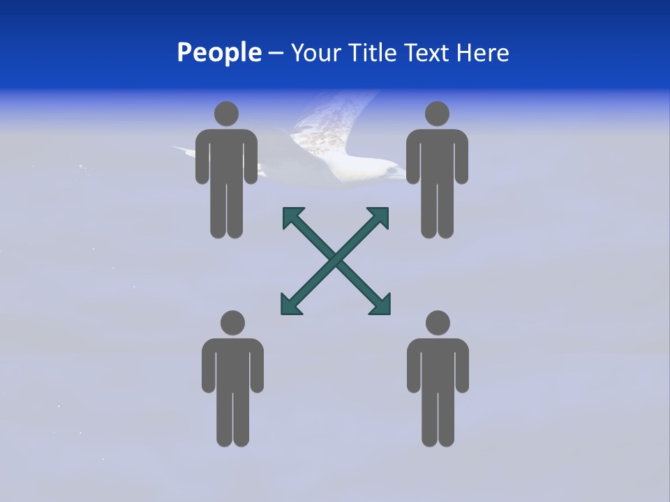 A Seagull Flying Over A Body Of Water PowerPoint Template