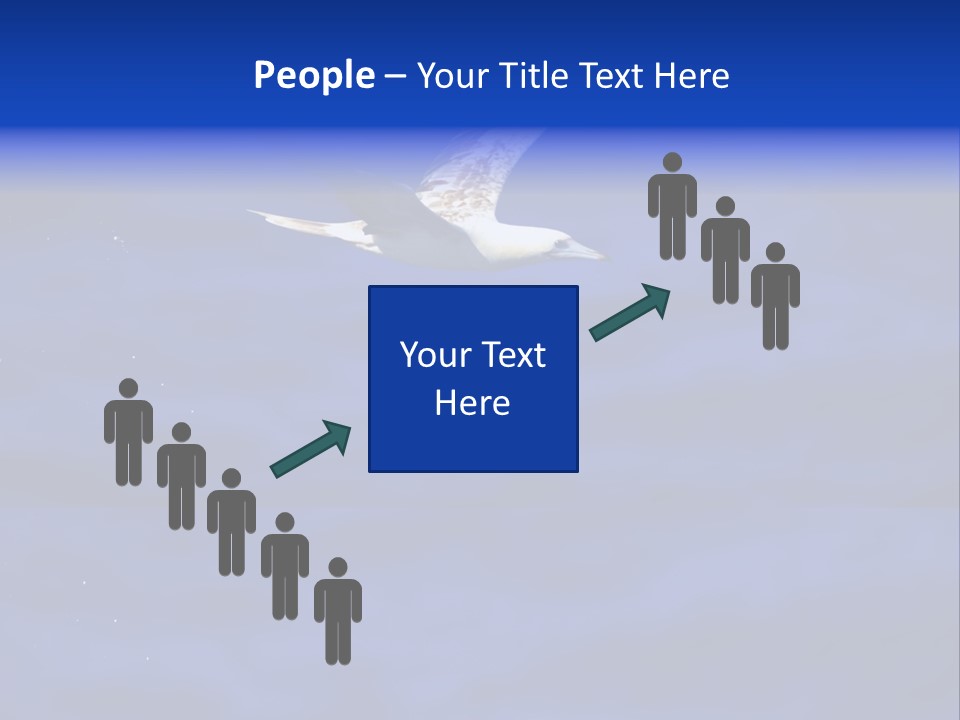 A Seagull Flying Over A Body Of Water PowerPoint Template