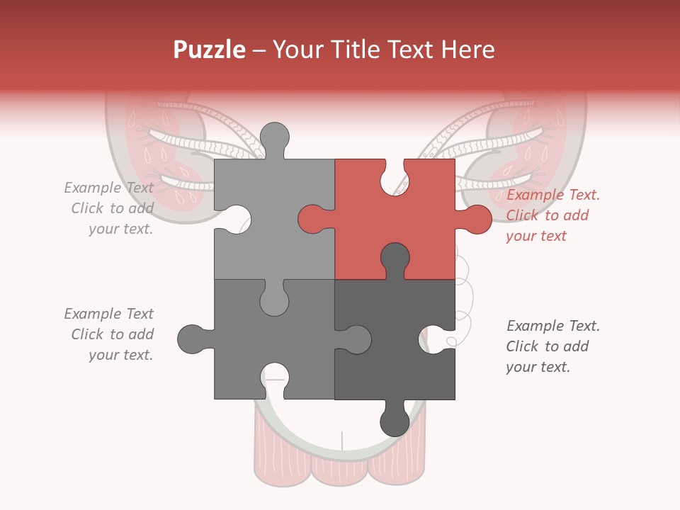 Vector Organ Urinary PowerPoint Template