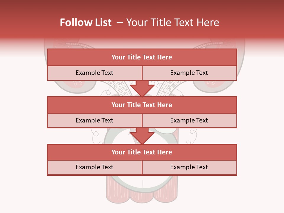 Vector Organ Urinary PowerPoint Template