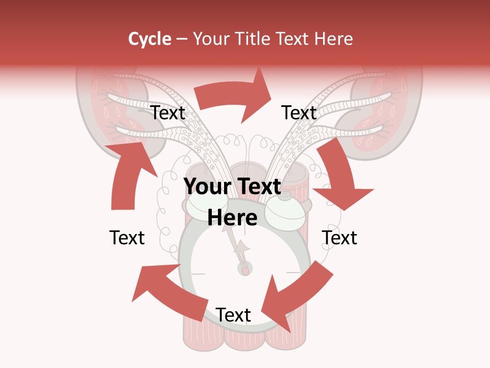 Vector Organ Urinary PowerPoint Template