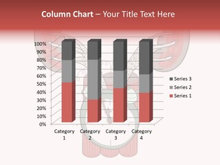 Vector Organ Urinary PowerPoint Template