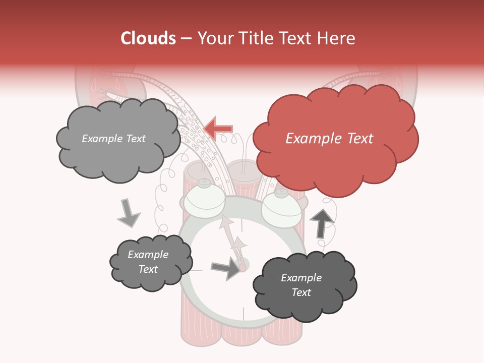 Vector Organ Urinary PowerPoint Template