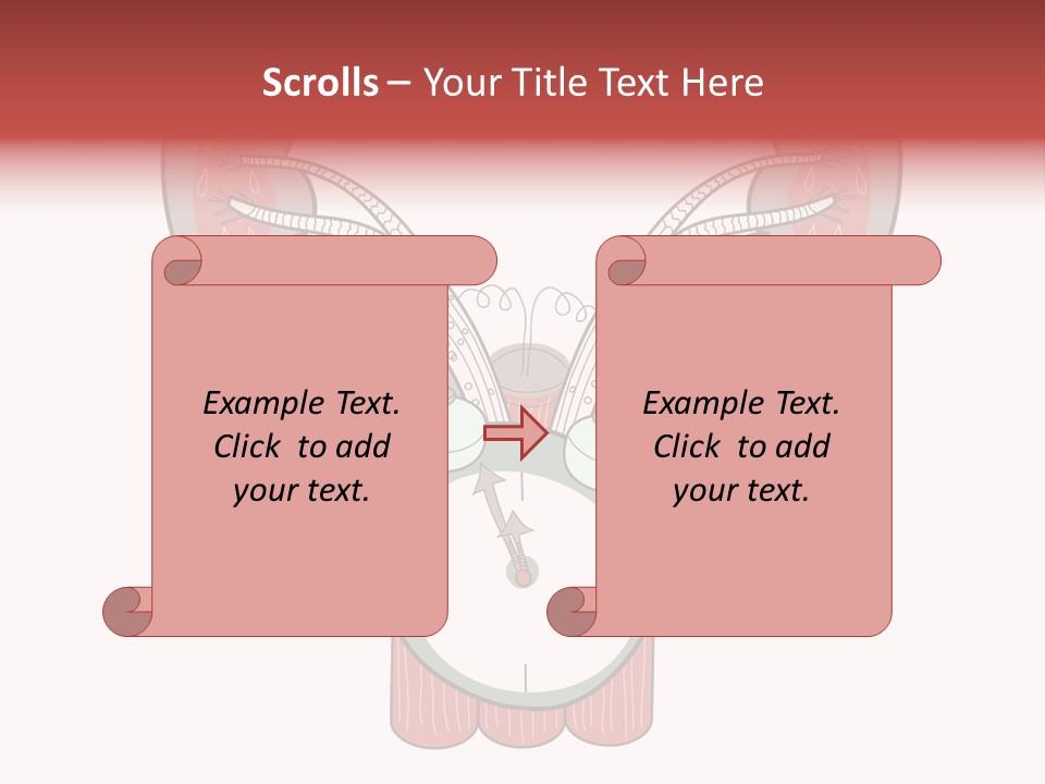 Vector Organ Urinary PowerPoint Template