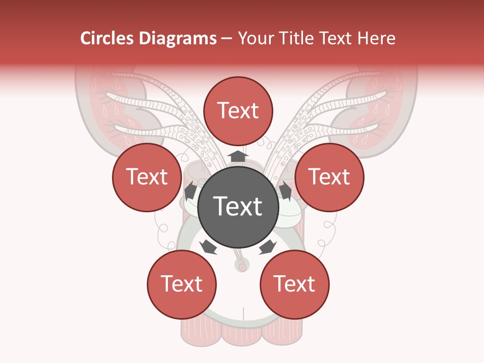 Vector Organ Urinary PowerPoint Template