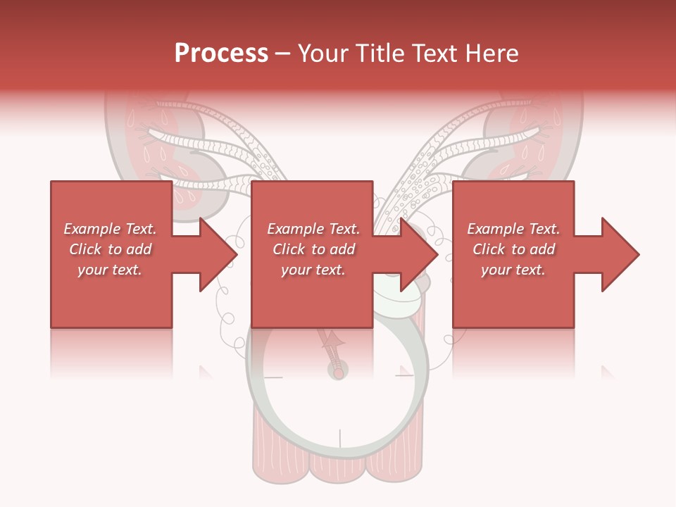 Vector Organ Urinary PowerPoint Template