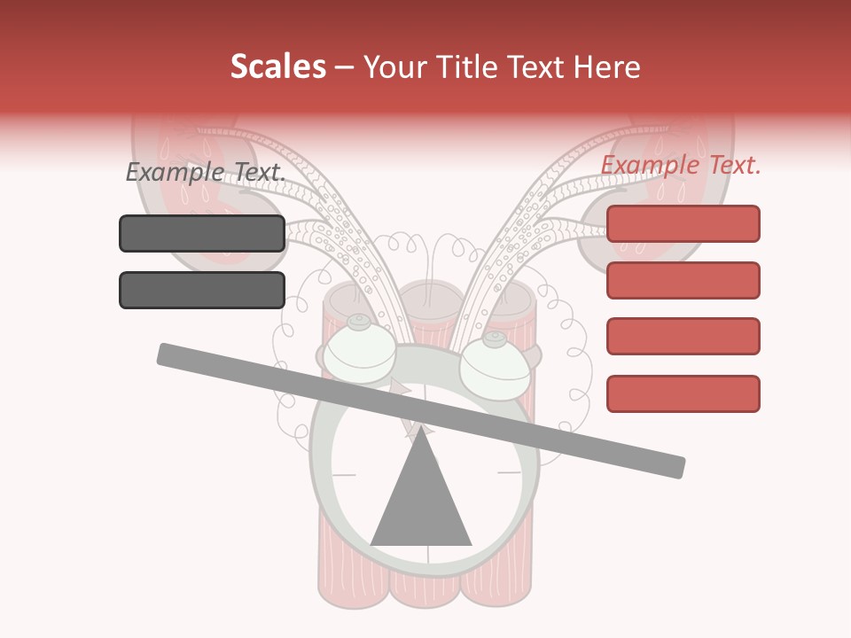 Vector Organ Urinary PowerPoint Template