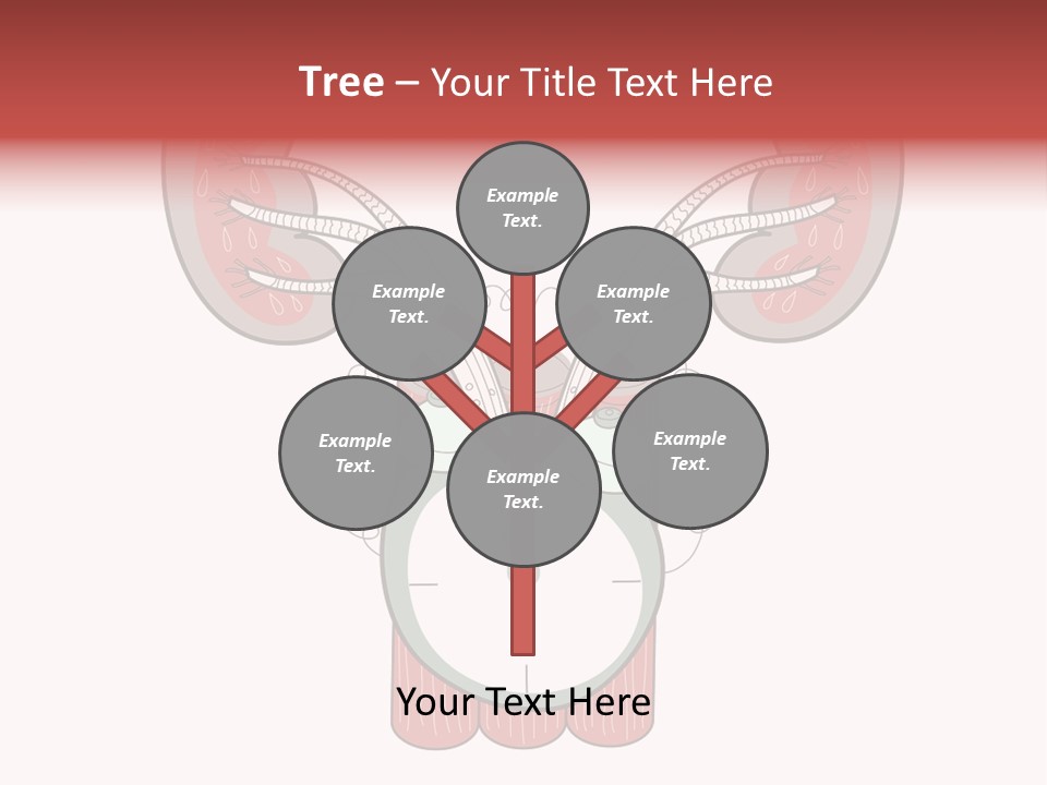 Vector Organ Urinary PowerPoint Template
