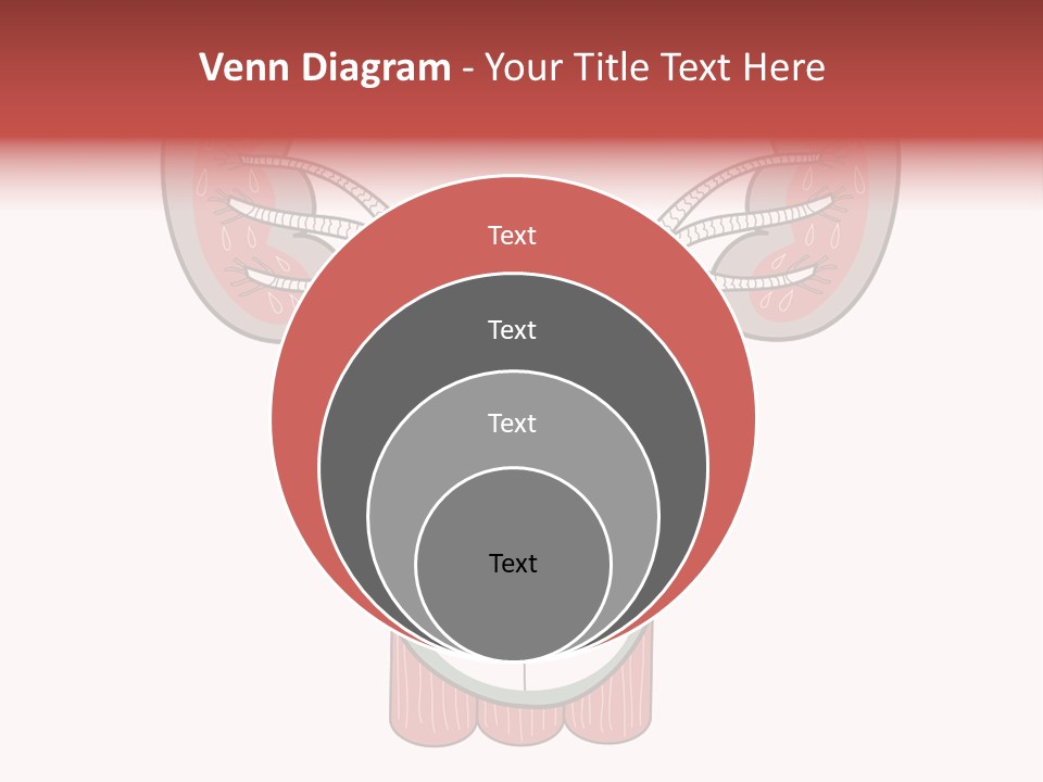Vector Organ Urinary PowerPoint Template
