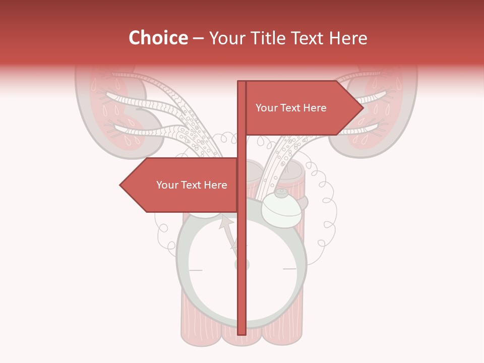 Vector Organ Urinary PowerPoint Template
