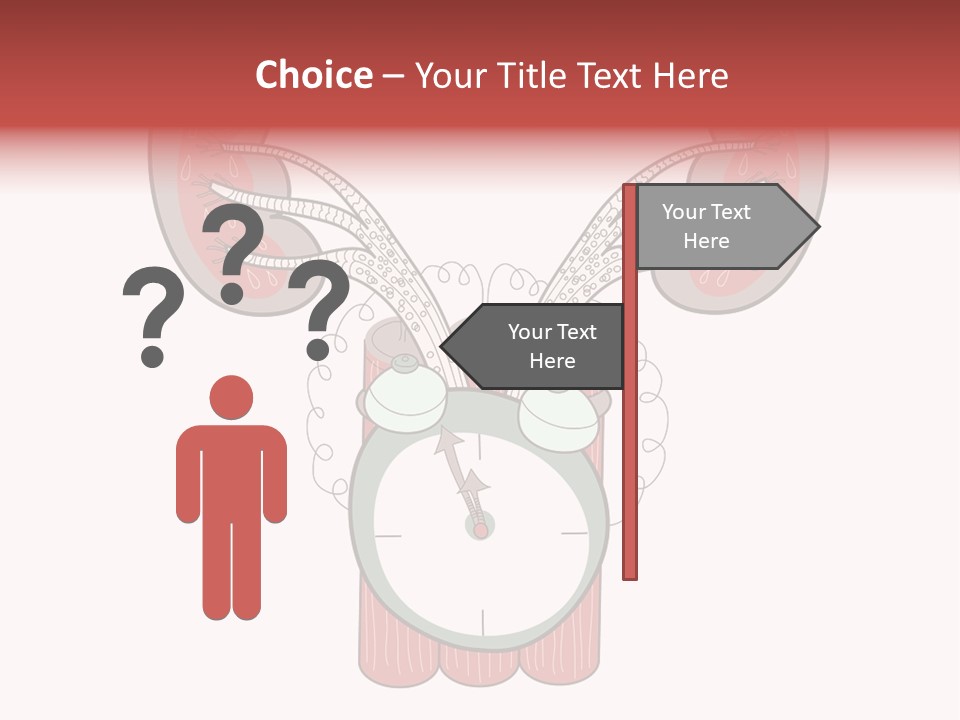 Vector Organ Urinary PowerPoint Template