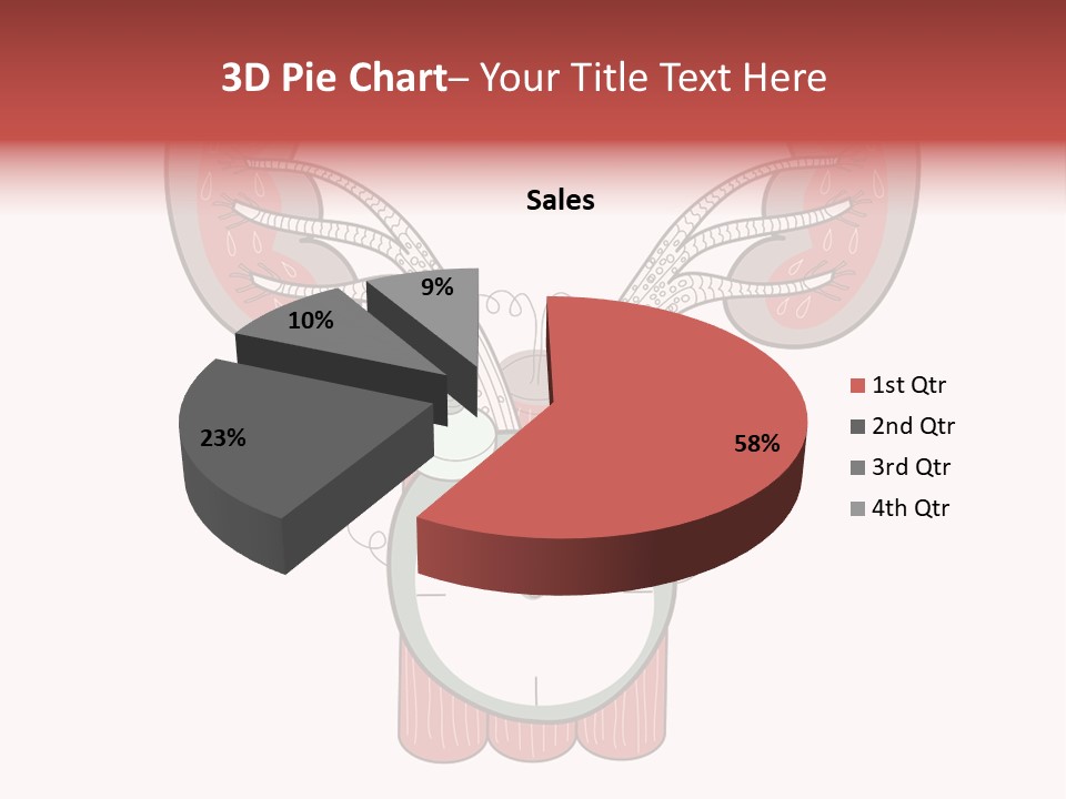 Vector Organ Urinary PowerPoint Template
