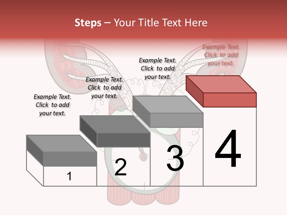 Vector Organ Urinary PowerPoint Template