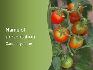 Agronomy Greenhouse Prolific PowerPoint Template