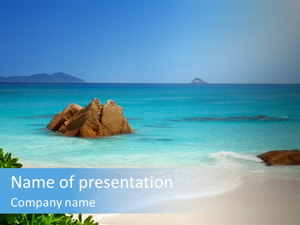 Nature Tree Seychelles PowerPoint Template