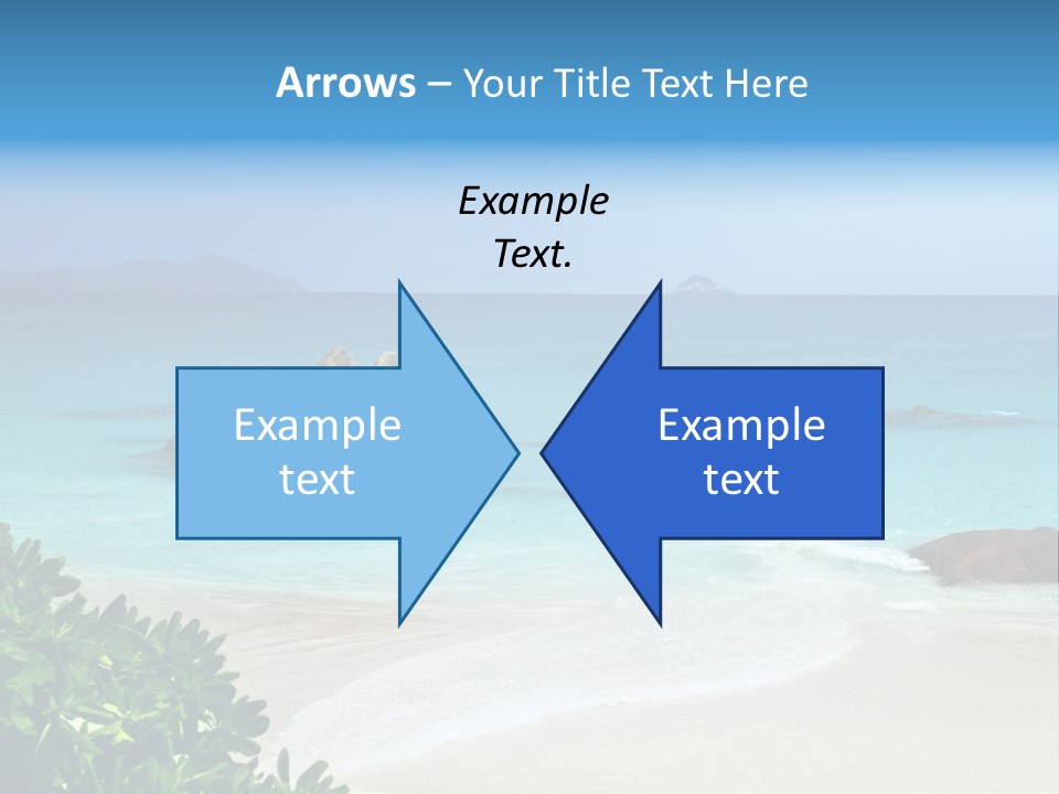 Nature Tree Seychelles PowerPoint Template
