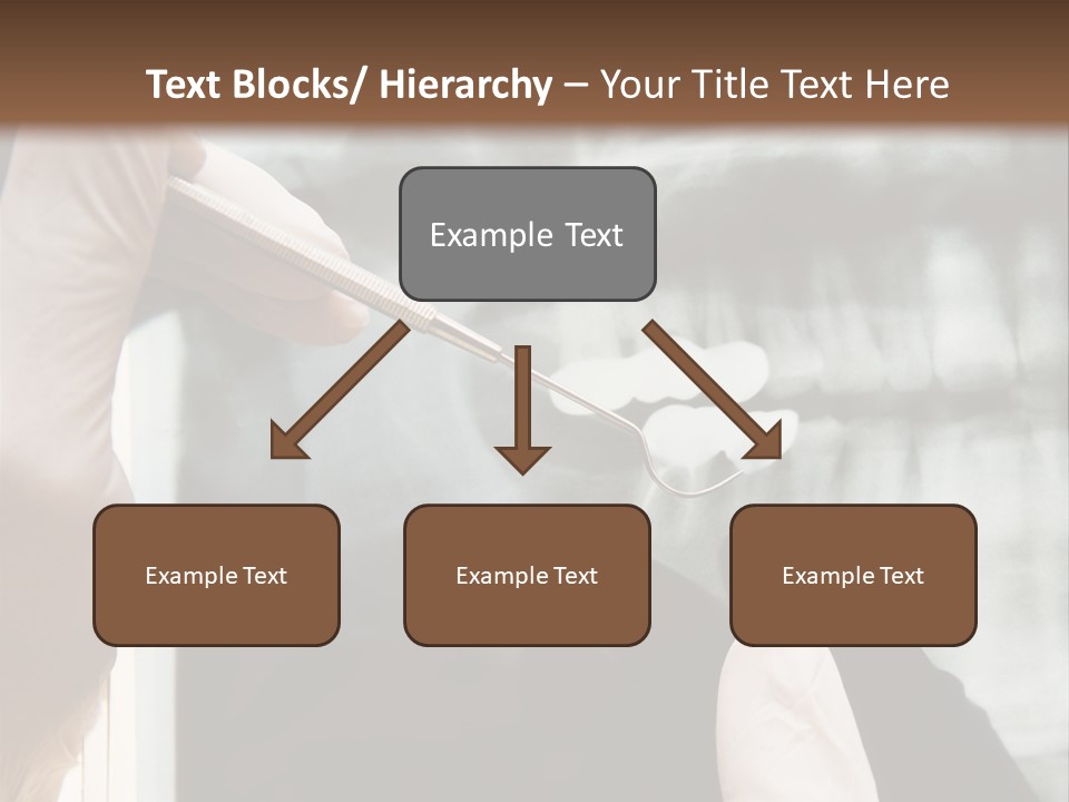 A Person Holding A Toothbrush In Front Of An X - Ray PowerPoint Template