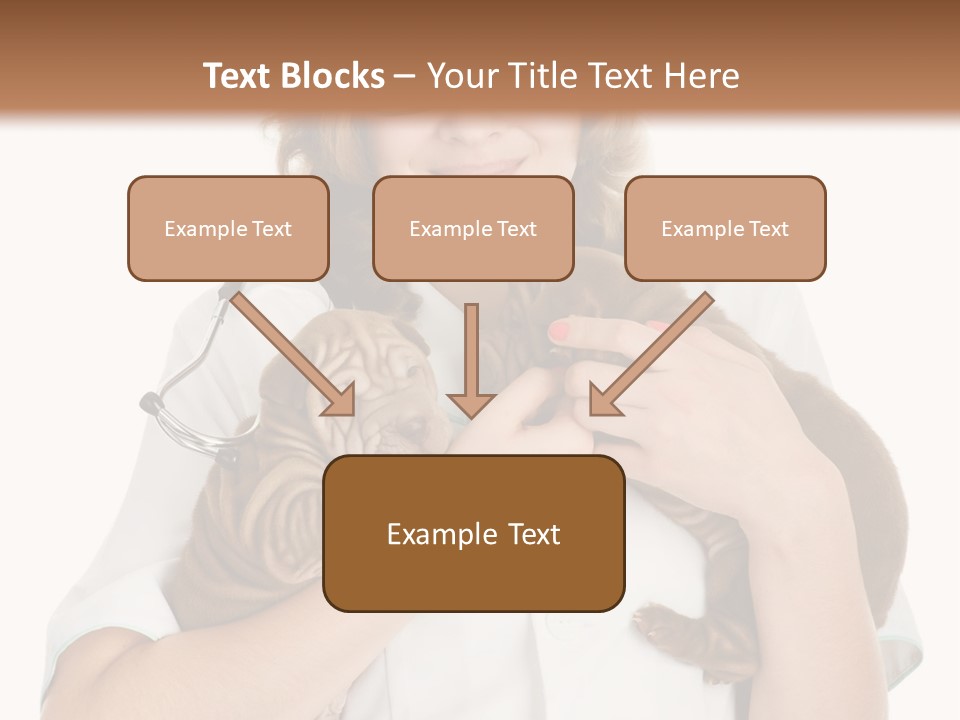 Adorable Health Pedigree PowerPoint Template