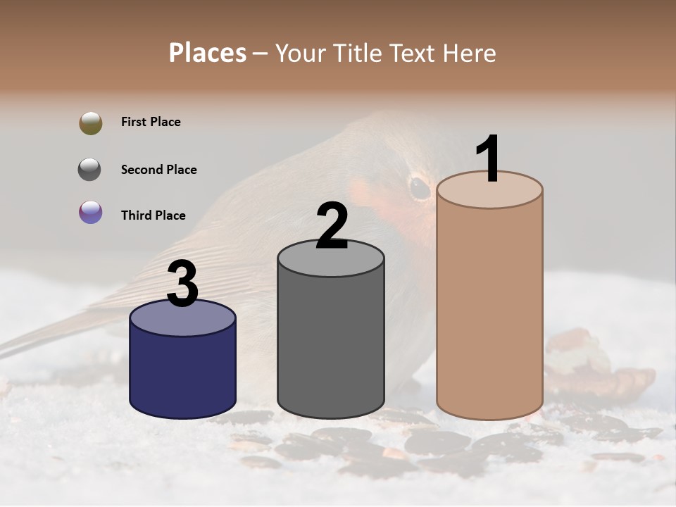 Close Redbreast Cute PowerPoint Template