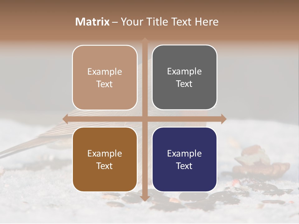 Close Redbreast Cute PowerPoint Template