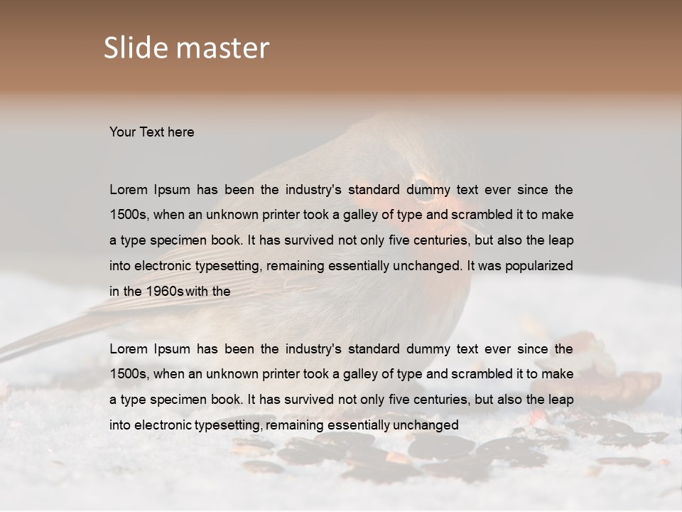 Close Redbreast Cute PowerPoint Template