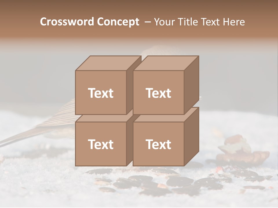Close Redbreast Cute PowerPoint Template