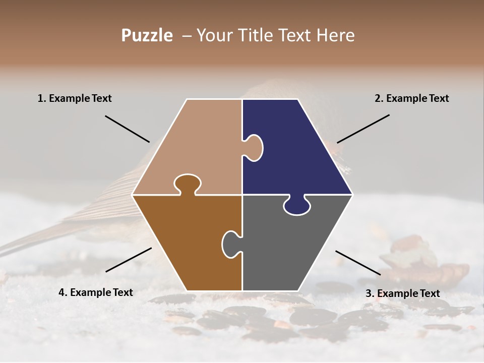 Close Redbreast Cute PowerPoint Template