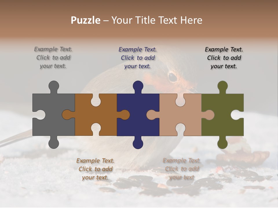 Close Redbreast Cute PowerPoint Template