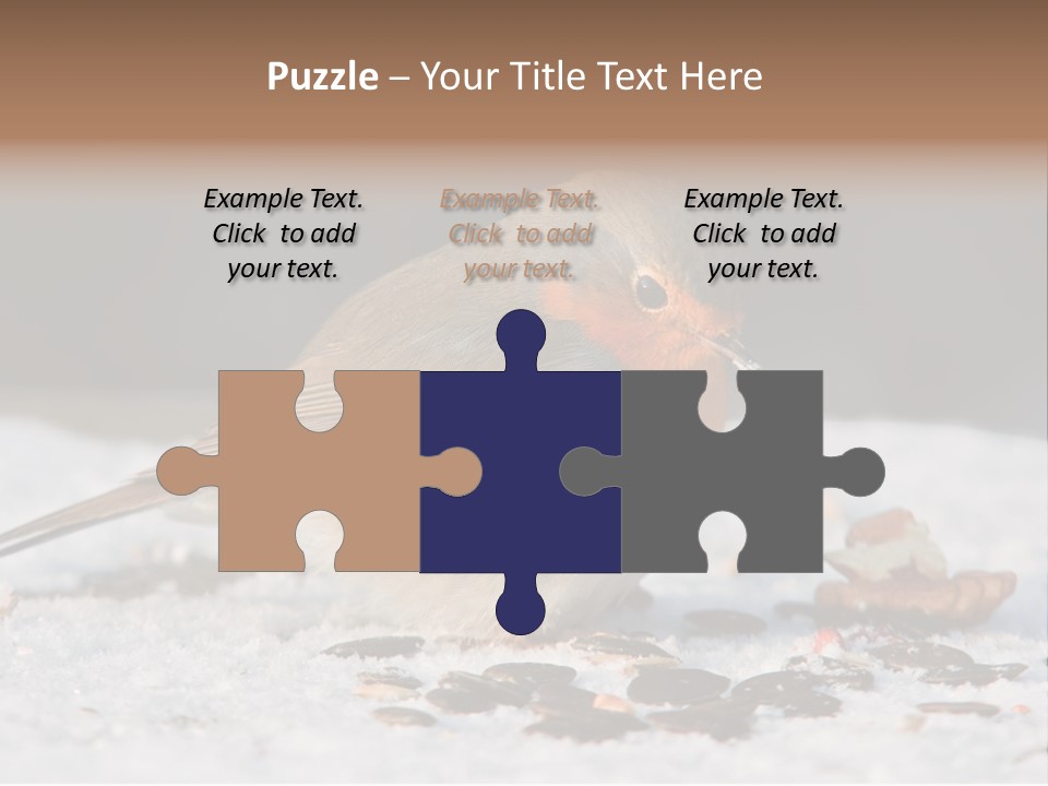 Close Redbreast Cute PowerPoint Template