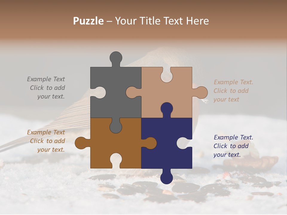 Close Redbreast Cute PowerPoint Template