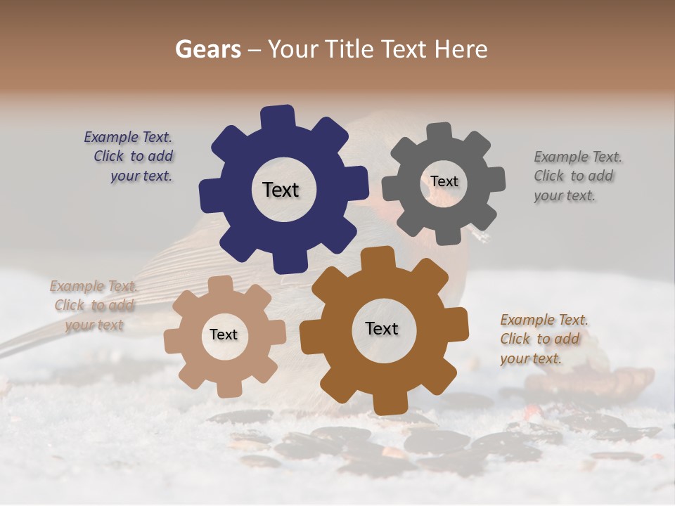 Close Redbreast Cute PowerPoint Template