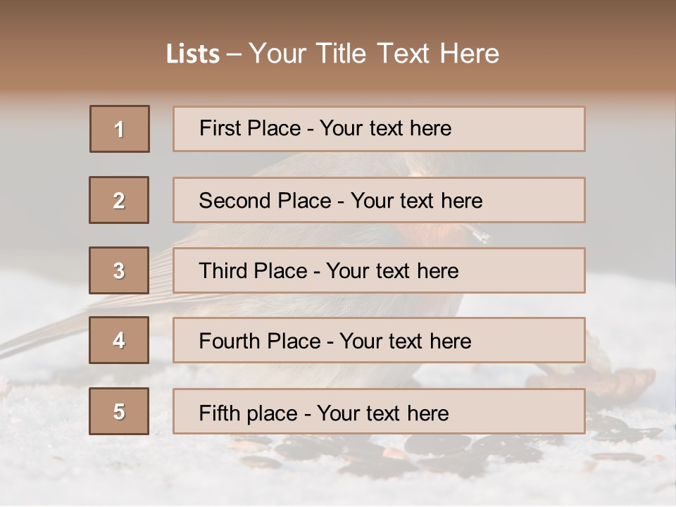 Close Redbreast Cute PowerPoint Template