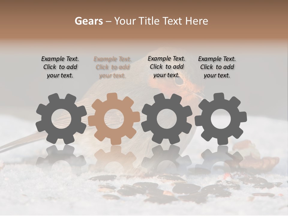 Close Redbreast Cute PowerPoint Template