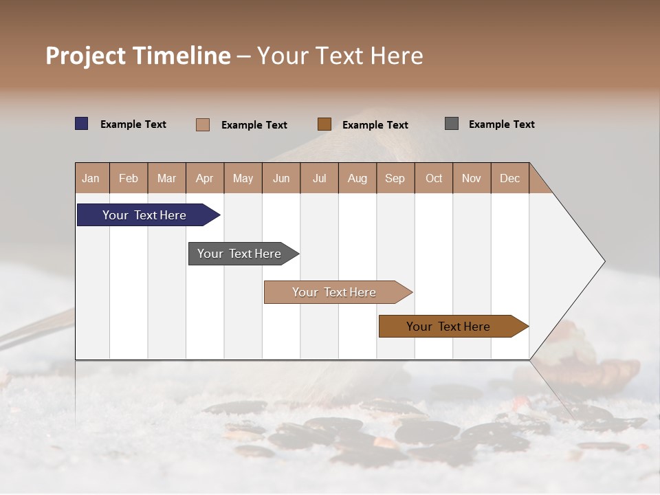 Close Redbreast Cute PowerPoint Template