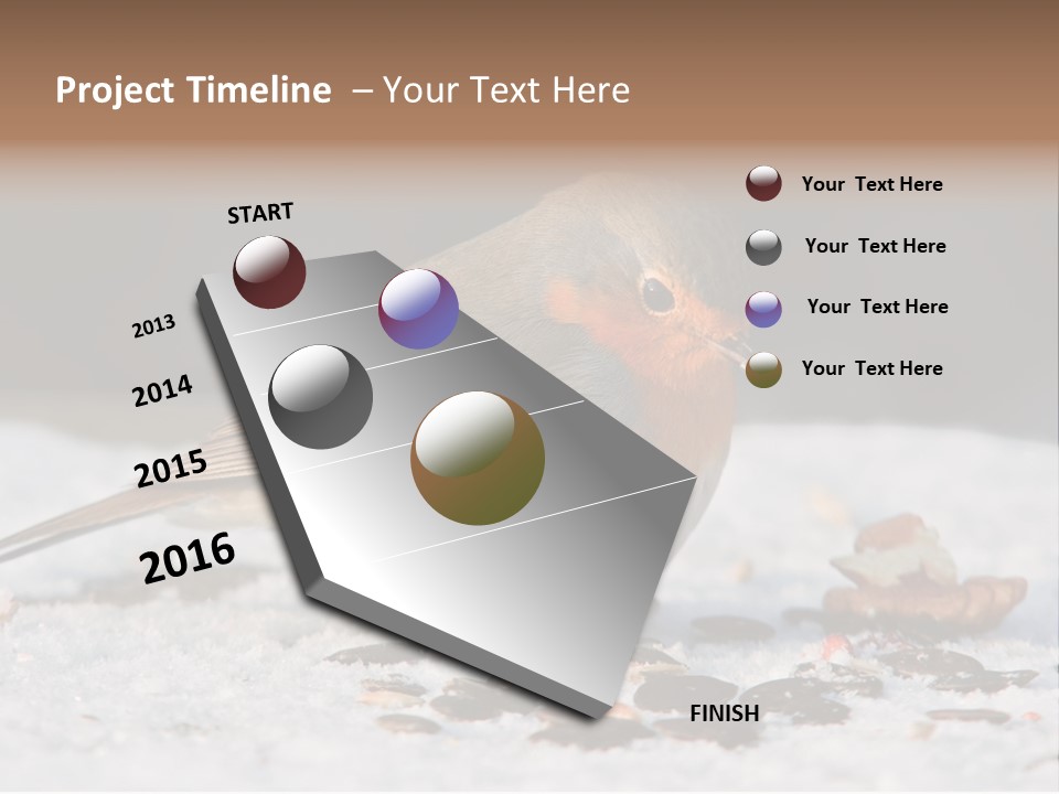 Close Redbreast Cute PowerPoint Template