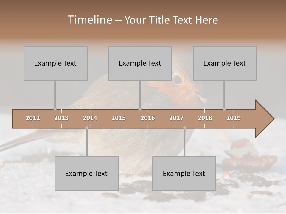 Close Redbreast Cute PowerPoint Template