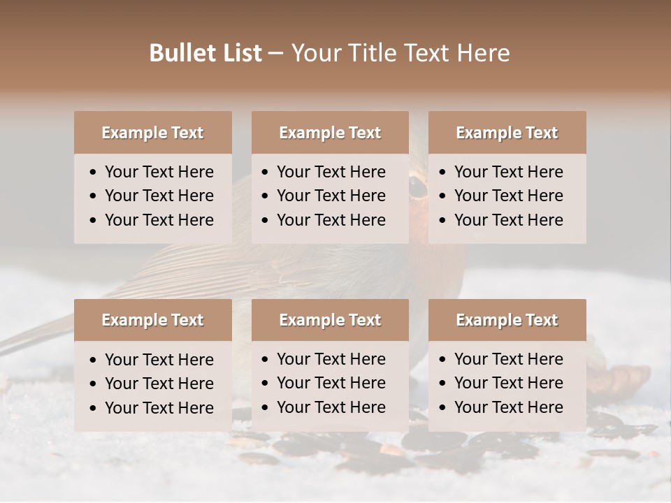 Close Redbreast Cute PowerPoint Template