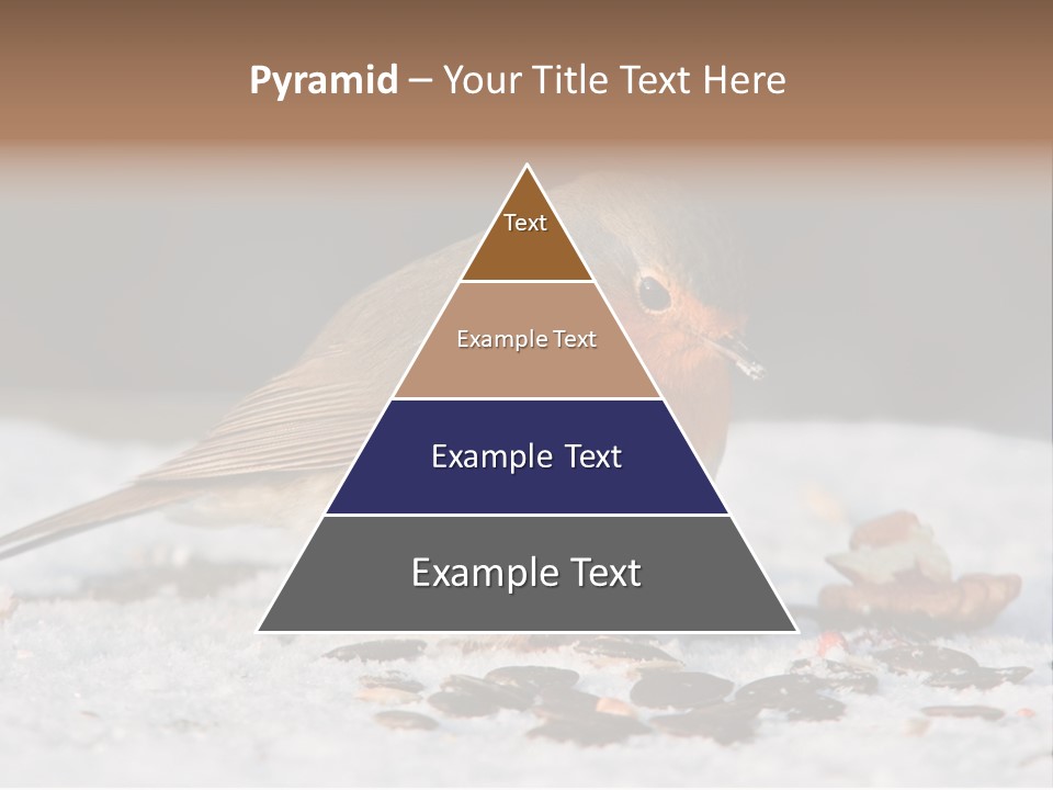 Close Redbreast Cute PowerPoint Template