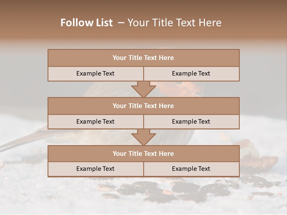Close Redbreast Cute PowerPoint Template