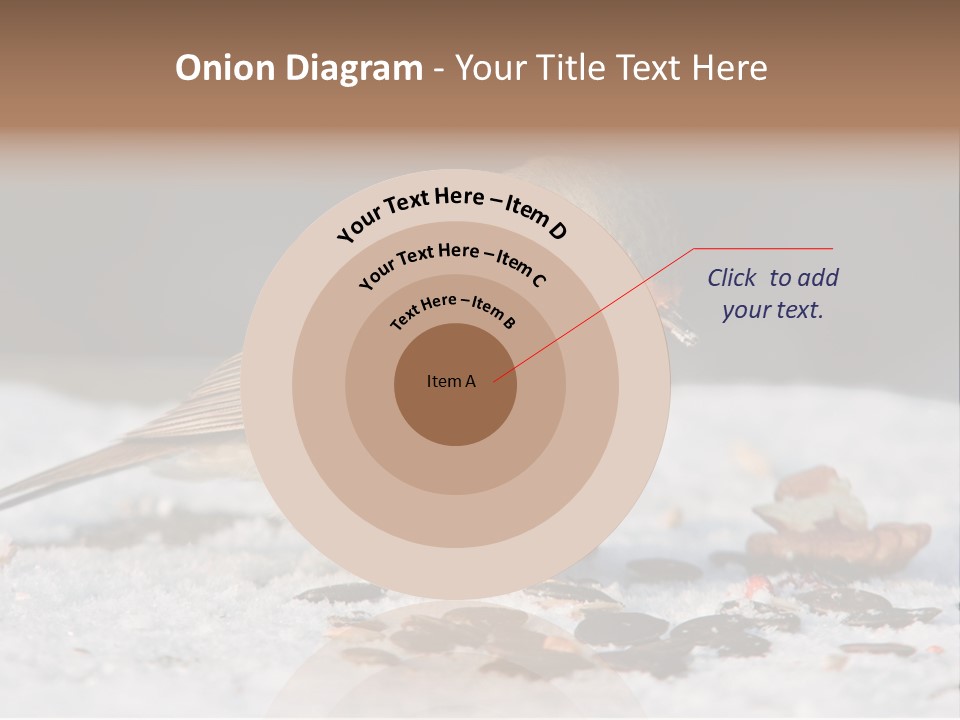 Close Redbreast Cute PowerPoint Template