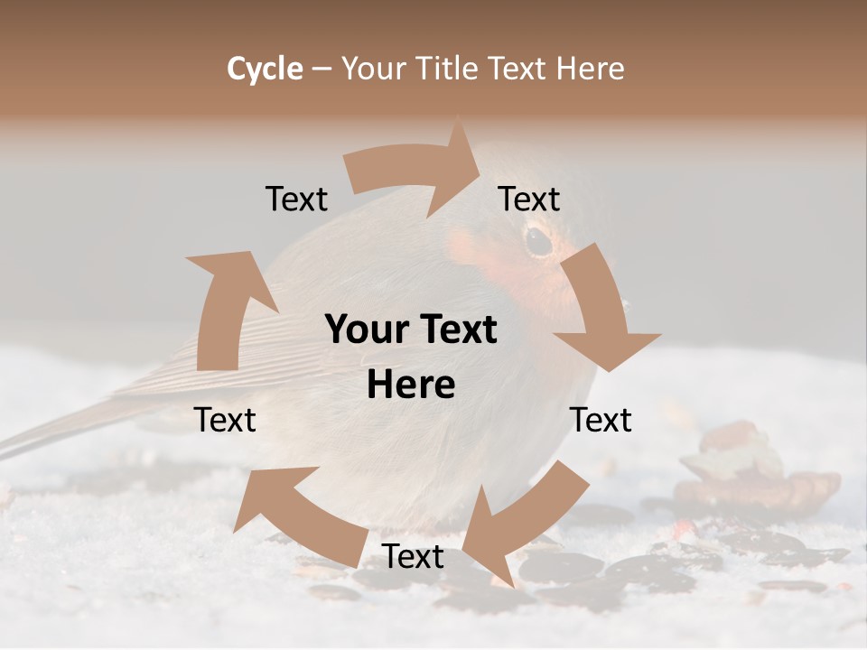 Close Redbreast Cute PowerPoint Template