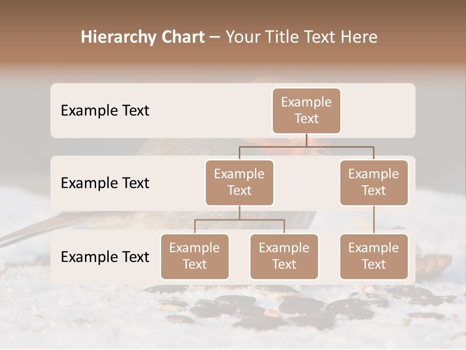 Close Redbreast Cute PowerPoint Template