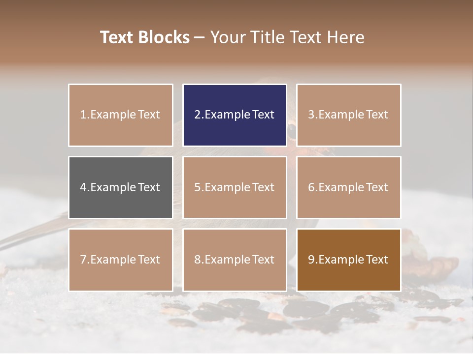 Close Redbreast Cute PowerPoint Template