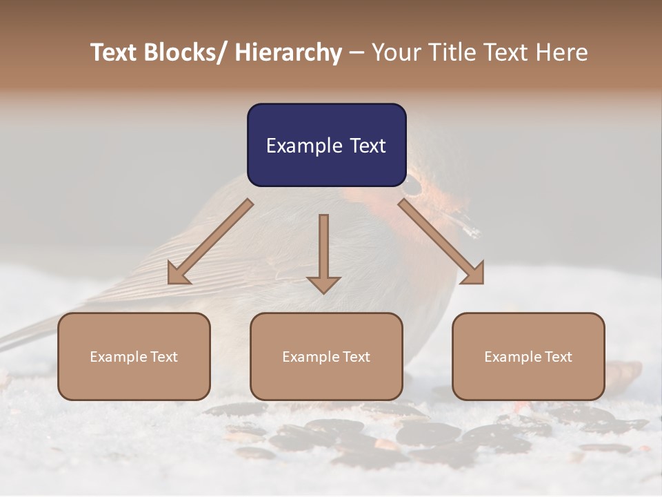 Close Redbreast Cute PowerPoint Template