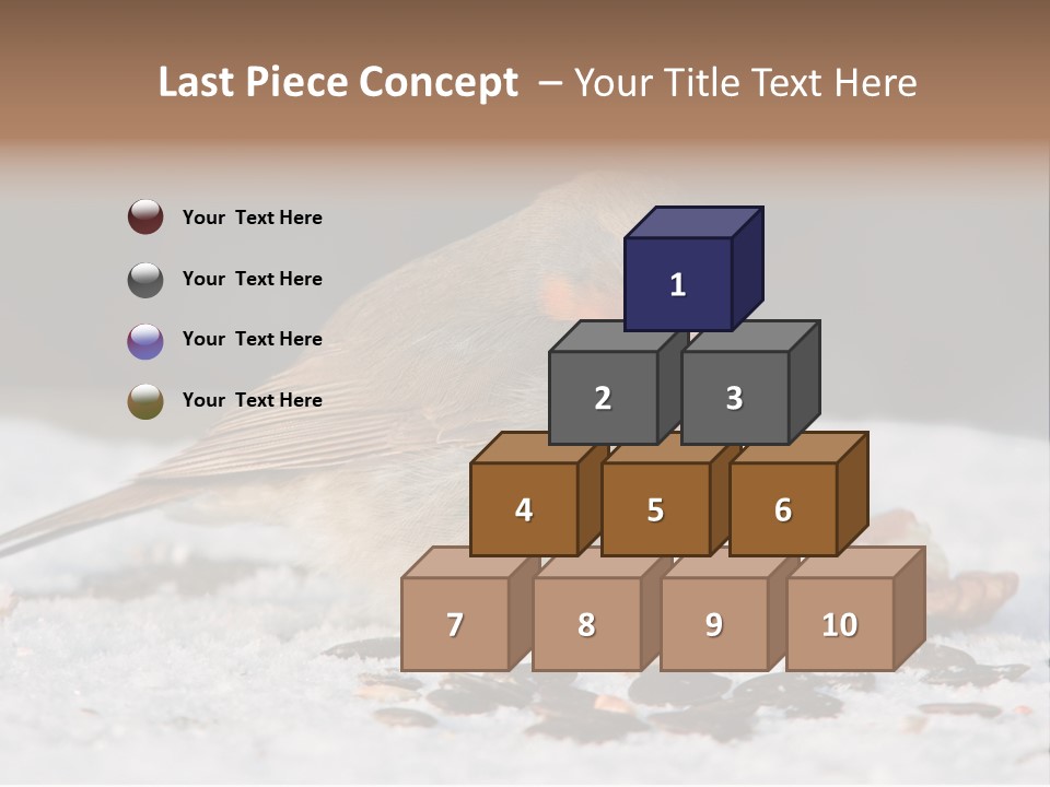 Close Redbreast Cute PowerPoint Template