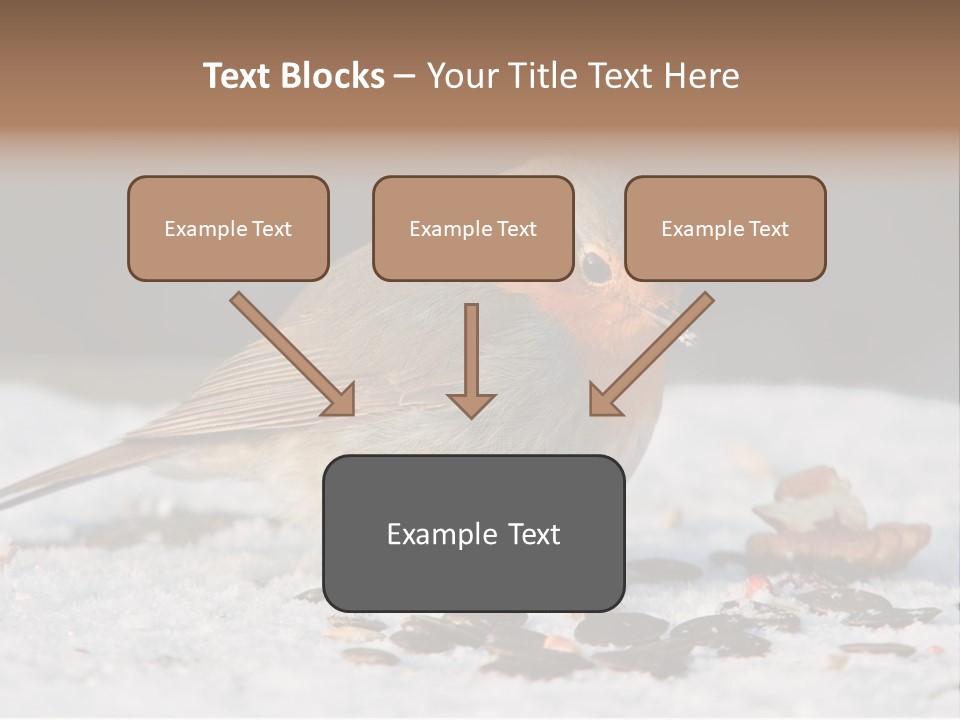 Close Redbreast Cute PowerPoint Template